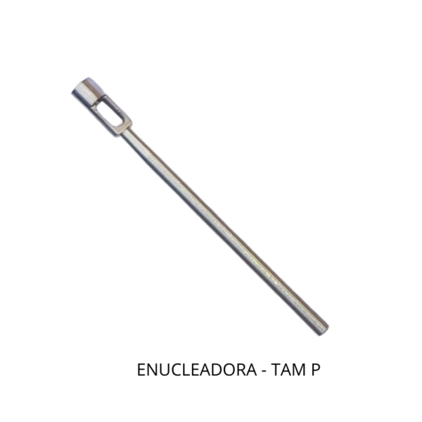 ENUCLEADORA - Image 3